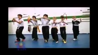 AULA DE KUNG FU EM S&Atilde;O PAULO