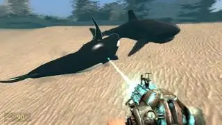 gmod Orca the Killer Whale: Orca Vs  Great White Shark