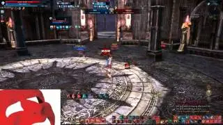 TERA - Champions Skyring