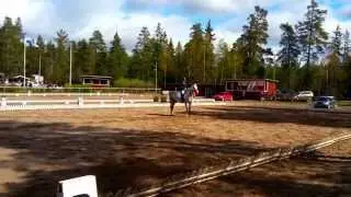 Cassiano - Quidams Rubin - Candillo 6 year