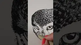 Техника послойного рисования пером и тушью