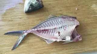 OMG zombie fish!! Can anyone tell me what&rsquo;s going on here? I was cleaning my catch and then suddenly