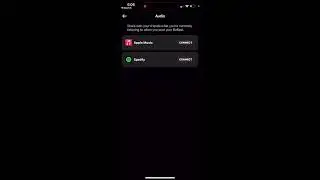 Spotify doesn't show up in Bereal Audio