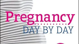 #145 The Day-by-Day Pregnancy Book 2018
