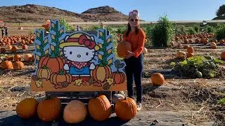 The Pumpkin Patch - Tanaka Farms in Irvine