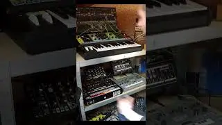 #303day jam / Xoxbox / ARP 2600 M #repeateater #acid #shorts