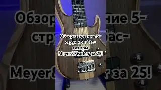 Обзор+звучание 5-струнного Meyer&Fischer за 25! #басгитара #басист #бас #обзор #5string #bass