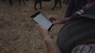 AgriWebb Customer Story | Rebekah Price with ABP Gamechanger