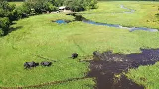 Sole Yoga Holidays - Blissful Botswana Safari & Wellness Adventure 2024
