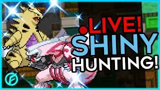 ✨Phenomenon Tyranitar & Sinjoh Palkia Shiny Hunt!✨ |⚡!ROGUE⚡|🌟!SHINYDEX🌟|✨!2024Comp✨|