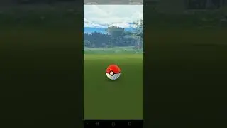 Shiny Chespin from community day 2023 (Pokemon GO)