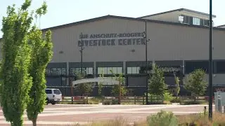 Denver Auditor's Office shares sharp criticism about National Western Livestock Center plan