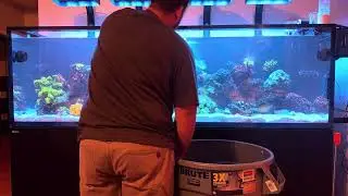 Red Sea S-1000 G2 Water Change/Sand Bed Cleaning
