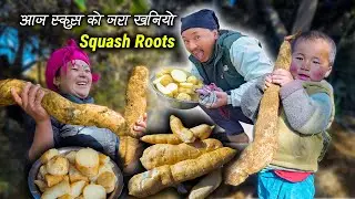 We are Digging Squash roots for SANGKRANTI & cooking, eating | organic Roots digging | Village vlog