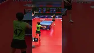 Chen Sun with AUTHORITY! #mltt #tabletennishighlights #tabletennis