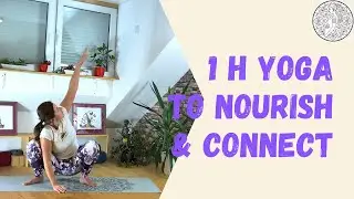 Yoga for Fertility & Hormonal Balance | 1-Hour Womb Connection Practice