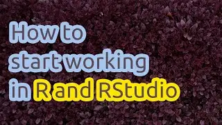 How to start working in R and RStudio