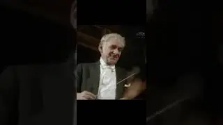 Johannes Brahms - Symphony No. 3 in F major (Bernstein, Vienna Philharmonic)