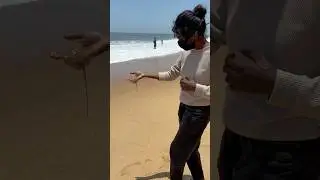 കുഞ്ഞു തെരണ്ടി 😨🎣 #shorts #fishing #fish