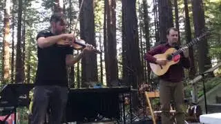 Gyan Riley & Timba Harris, Redwood Grove, Berkeley Botanical Gardens