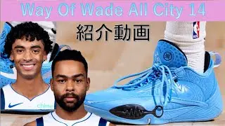 [Basketball Shoe Information] A thorough introduction to the Li-Ning Way of Wade All City 14! #ba...