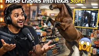 Horse Walks Into a Store । The Bizarre Texas Incident That Shocked Shoppers #america #podcast #texas