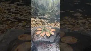 Doğal Taş Ocakta Palamut Izgara 🐟 / cooking grilled bonito on a natural stone stove