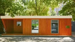 Chambroad Timber | Global Project Showcase | Durable Wood Solutions in Action