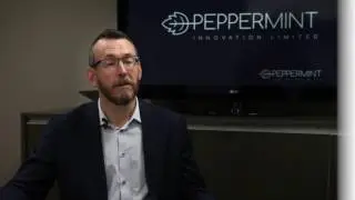 Peppermint Innovation Summary: Mobile Payment Applications for Banks and Companies