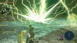 The Legend of Zelda: Tears of the Kingdom - Enter East Gerudo Desert Chasm: Reach Amakawis Lightroot