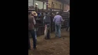 First bronc ride not to good