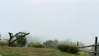 Cold and fogy morning ❤️🍀 #nature #mountains #chiangdao #mindentertainment Mind Entertainment