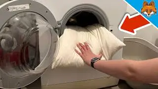 Как постирать пуховую подушку, не повредив ее💥(быстро и просто)🤯
