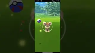 A lion cub Pok&eacute;mon (2)
