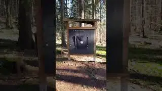 80 yard schie&szlig;en #3dparcours #archery #bogenschie&szlig;en