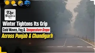 Live | Winter Tightens Its Grip: Cold Waves, Fog, and Temperature Drops Across Punjab and Chandigarh