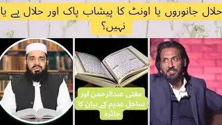 حلال جانوروں کا یا اونٹ کا پیشاب حلال یا پاک ہے؟