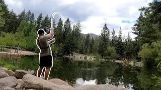 Fishing With My Grandpas 30 YEAR OLD Fly Rod