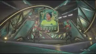 Level 40 84X10 And 85x5
