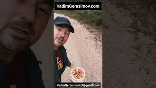 ГРИБЫ В АВСТРАЛИИ  #иммиграция #интереснаяавстралия #образованиевавстралии #австралияпожитейски