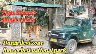 Jim Corbett National Park ll Durga devi Zone ll Jungle Safari