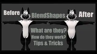 BlendShapes (What are they / How do they work / Tips & Tricks)