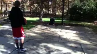 Epic Nutshot