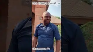 The living sacrifice#nollywood #helpmemakethismakesense #funny #viral #film #comedy 