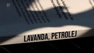 Književni osvrt: 