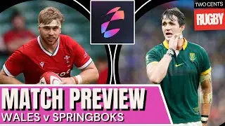 WALES v SPRINGBOKS 2025 | Rugby Match Preview