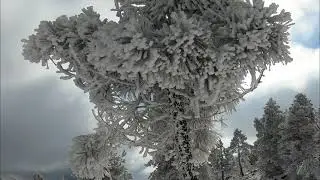MONTE TOBBIO CON LA NEVE