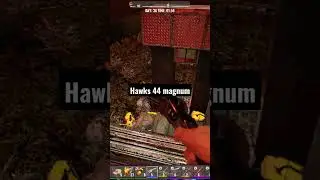 Dirty Hawks 44 Magnum
