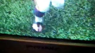 just a catch by larry fitz