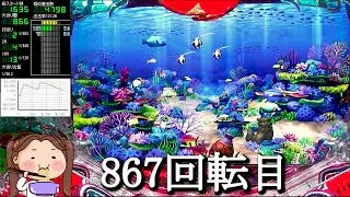 Pスーパー海物語IN沖縄5【沖海5】パチンコライブ配信 海物語ライブ生配信 こあげホール実践実機配信 『あげ実揚げ放題 ++323 海物語Live』